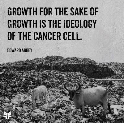 Endless growth is the ideology of the cancer cell